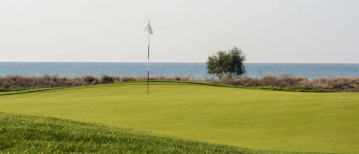 683aec6a-8382-4d1b-98bd-ff0cbe863a53