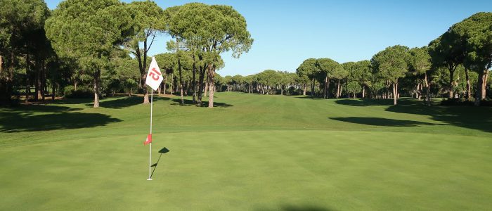 9_nobilis-golf-club_3