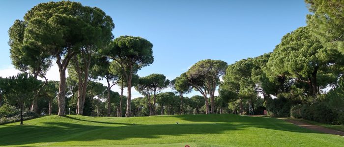 9_nobilis-golf-club_4