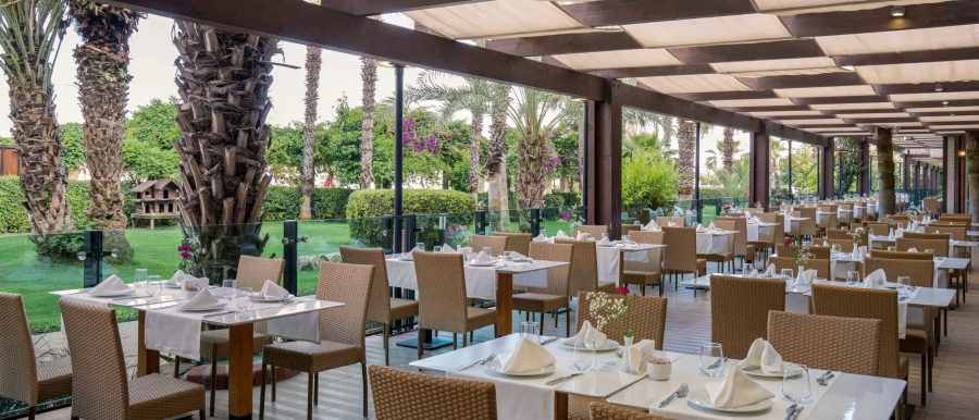 dsc00908.1xcbv-converti-depuis-webp