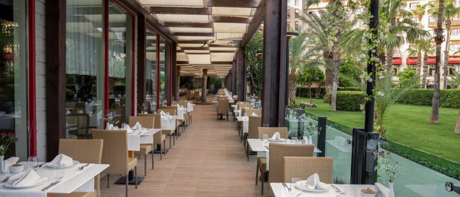 dsc00931.3166j-converti-depuis-webp