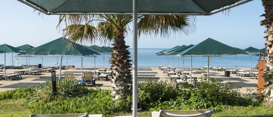 dsc06599.jmj36-converti-depuis-webp