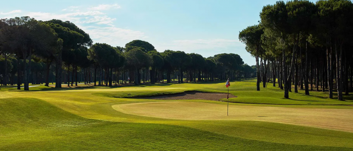 gloriaoldcourse32_golfclub_h