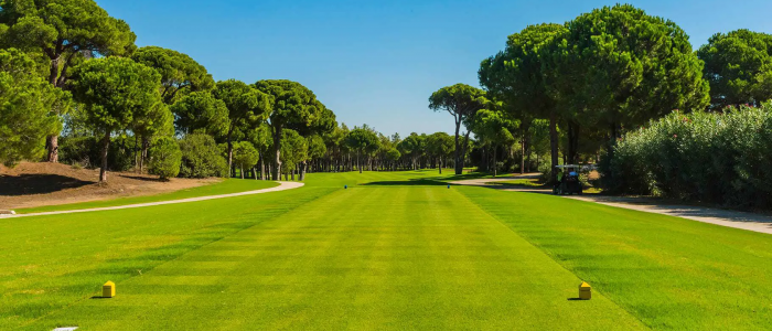 gloriaverdecourse25_golfclub_h