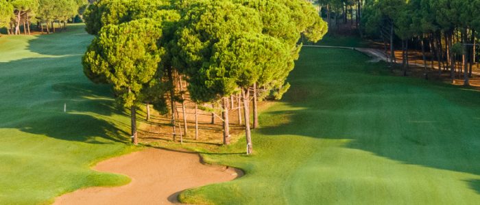 sueno-hotels-golf-club-pines-saha-2