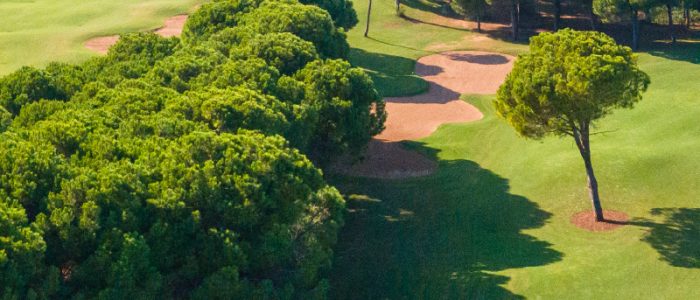 sueno-hotels-golf-club-pines-saha-3