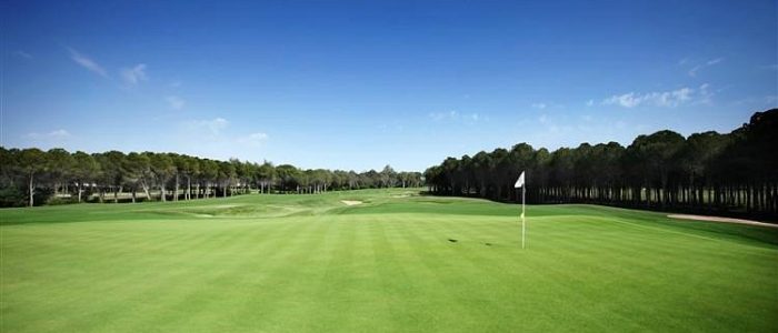 the-montgomerie-maxx